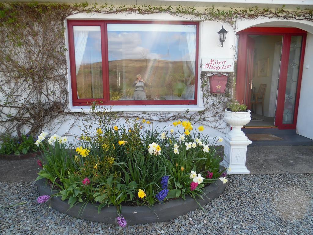 River Meadows B&B Kenmare Zewnętrze zdjęcie
